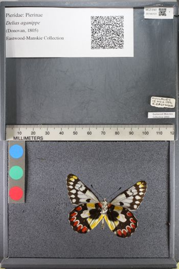 Media type: image;   Entomology 140101
